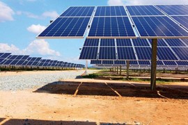 Năng lượng Ninh Thuận báo lãi sau thuế tăng 800%