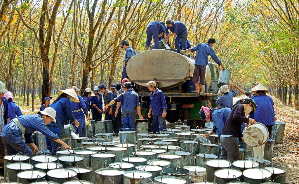 Chi phí tăng cao, Cao su Công nghiệp tiếp tục lỗ 1,5 tỷ đồng trong quý 3/2023