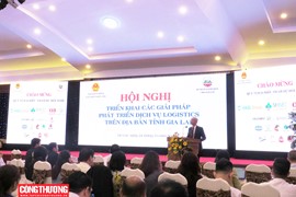 Giải pháp nào phát triển dịch vụ logistics trên địa bàn tỉnh Gia Lai?