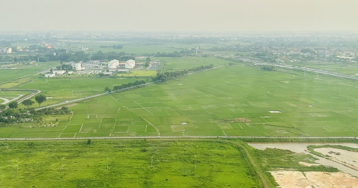 Chính phủ quyết định giảm 30% tiền thuê đất năm 2023