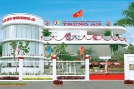 Cổ phiếu TAR của Nông nghiệp Công nghệ cao Trung An bị chuyển sang diện kiểm soát từ ngày 12/10