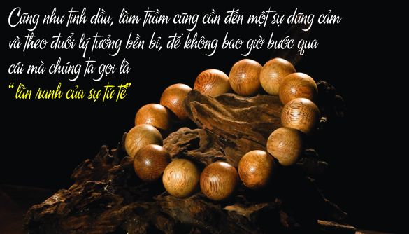Tran bao tu "lan ranh cua su tu te" 7 Trân bảo từ lằn ranh của sự tử tế 7