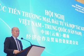 “Hợp tác kinh tế, thương mại giữa Việt Nam và Vân Nam còn chưa xứng”