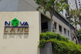 Hội đồng quản trị Tập đoàn Novaland muốn được cổ đông uỷ quyền mua bán tài sản