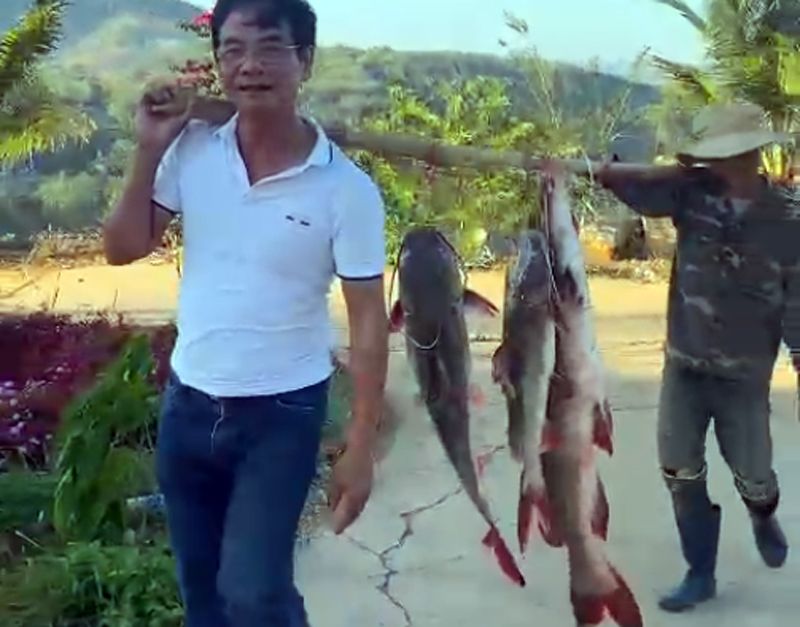 Bắt được cá lăng đuôi đỏ “khủng” ở Gia Lai