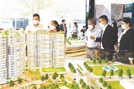 HoREA kiến nghị cho phép doanh nghiệp bất động sản được tái cơ cấu nợ