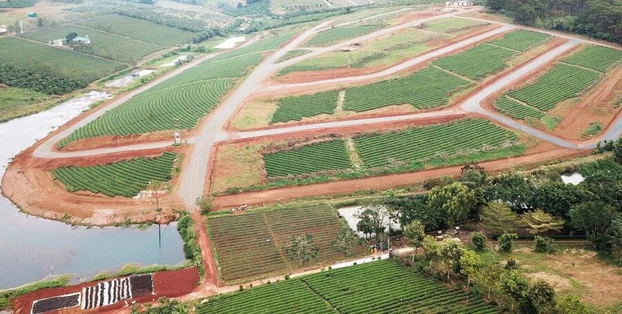 tỉnh Lâm Đồng