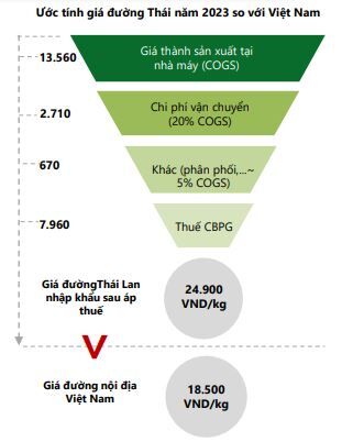 cổ phiếu