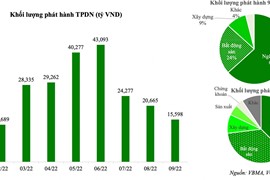 "Cuộc chiến trái phiếu": Khi trái chủ lẫn doanh nghiệp đều muốn là người "quyết định"