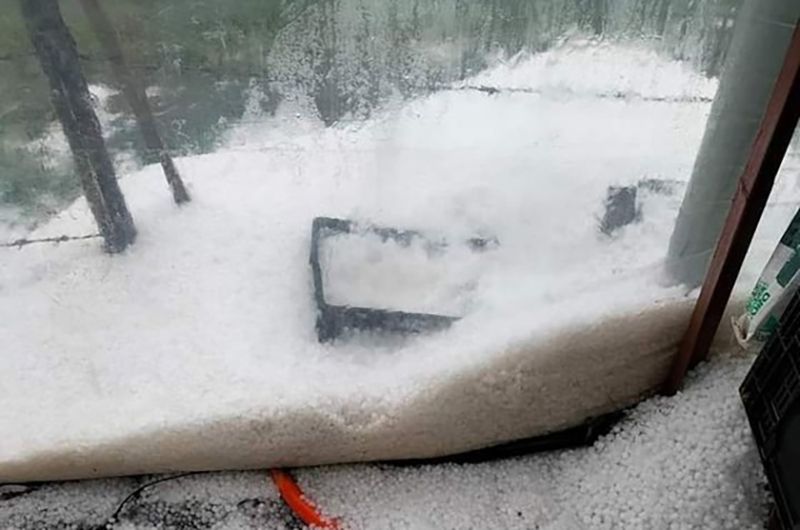 Mưa đá bất ngờ đổ xuống như trút ở Đà Lạt