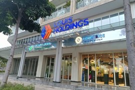 Kinh doanh thua lỗ, Louis Capital muốn chuyển sang ngành dược phẩm