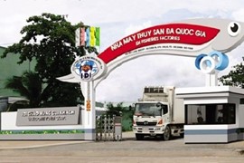 Đầu tư và Phát triển Đa Quốc Gia IDI đặt mục tiêu lãi 186 tỷ đồng trong năm 2023