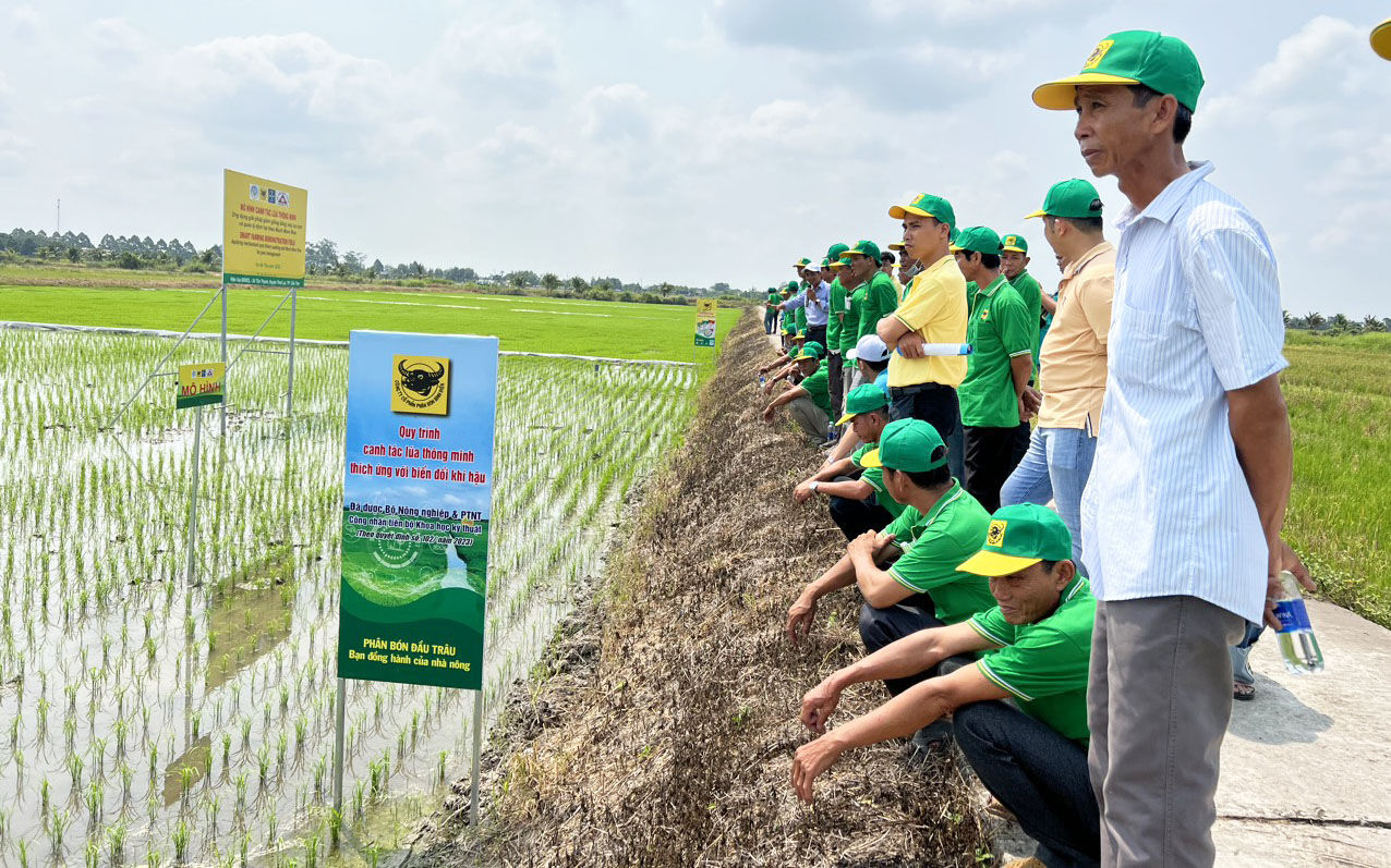 Thúc đẩy các sáng kiến sản xuất nông nghiệp thông minh, ứng phó biến đổi khí hậu