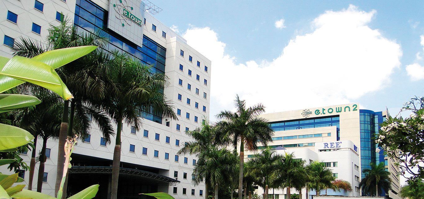 Đại hội cổ đông REE: Sẽ ưu tiên phát triển thuỷ điện, điện gió trong những năm tới