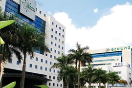 Đại hội cổ đông REE: Sẽ ưu tiên phát triển thuỷ điện, điện gió trong những năm tới