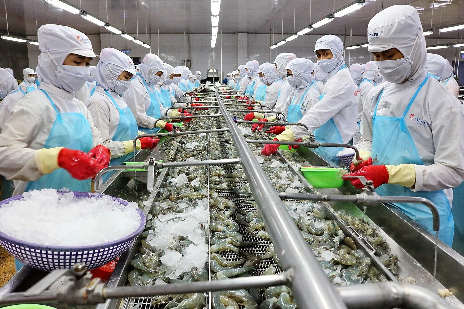 Thuy san Minh Phu dat muc tieu lai hon 1.000 ty dong trong nam 2023 Thủy sản Minh Phú đặt mục tiêu lãi hơn 1.000 tỷ đồng trong năm 2023
