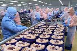 Dự báo, xuất khẩu thủy sản sẽ hồi phục dần từ quý II