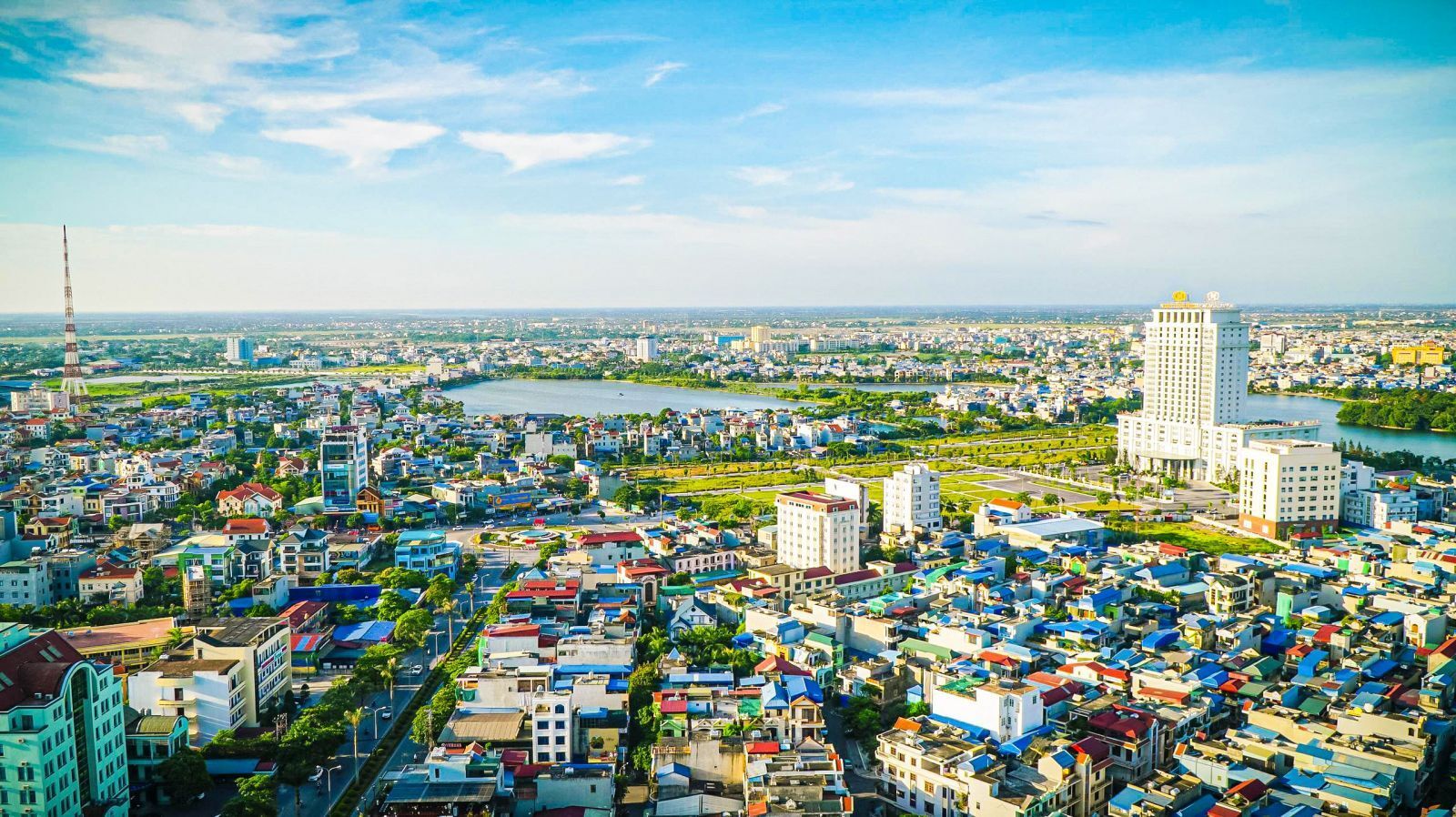 đấu giá