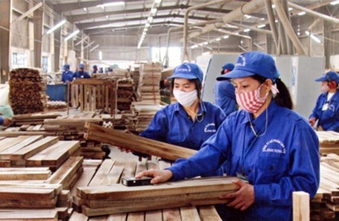 Gỗ Trường Thành (TTF) quyết định xóa hơn 400 tỷ đồng nợ khó đòi