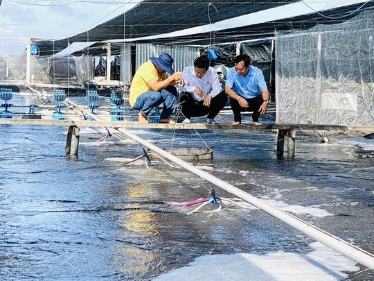 VASEP đề xuất giải pháp cho xuất khẩu thủy sản Đồng bằng sông Cửu Long cất cánh