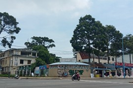 Bà Rịa - Vũng Tàu đấu giá khu đất cụm 5 rộng hơn 27.000 m2