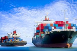 Dự báo kinh doanh kém hiệu quả, Vận tải biển Việt Nam đưa mục tiêu lợi nhuận giảm 67,3%