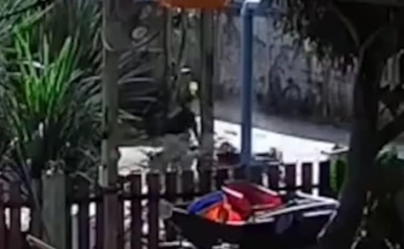 Kinh hoàng cảnh người phụ nữ bị 4 con Pitbull tấn công