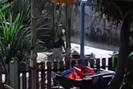 Kinh hoàng cảnh người phụ nữ bị 4 con Pitbull tấn công