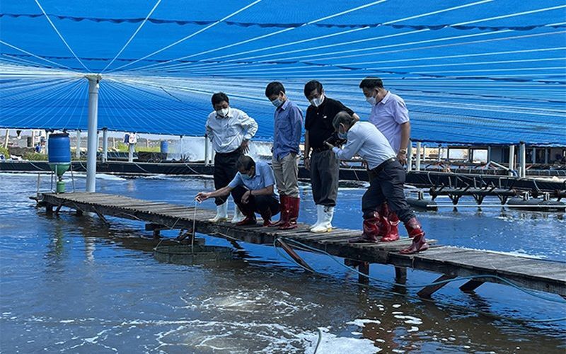 Bình Định đầu tư gần 1.500 tỷ đồng cho dự án khu nuôi tôm công nghệ cao