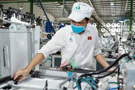 ĐHĐCĐ Tập đoàn An Phát Holdings: Đặt mục tiêu lợi nhuận năm 2023 tăng gấp 6,3 lần, không chia cổ tức năm 2022