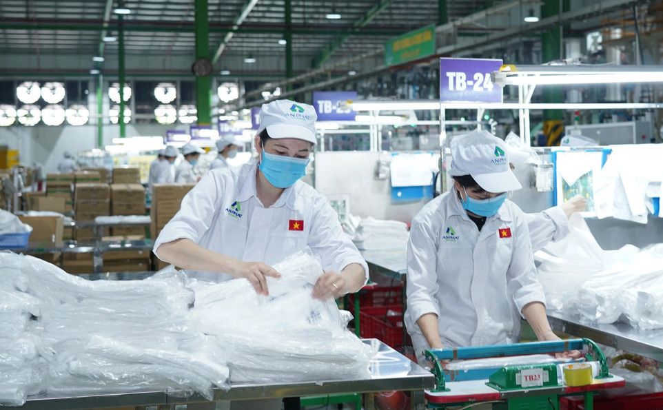 Tập đoàn An Phát Holdings: Chi phí nguyên vật liệu tăng, lợi nhuận quý 1/2023 giảm 57%