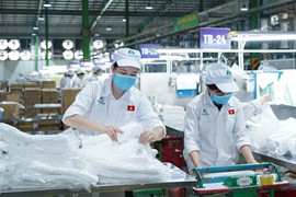 Tập đoàn An Phát Holdings: Chi phí nguyên vật liệu tăng, lợi nhuận quý 1/2023 giảm 57%