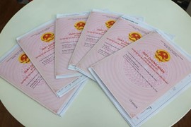TP.HCM lên kế hoạch cấp sổ hồng cho hơn 81.000 căn hộ