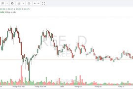 Hai nhà đầu tư nước ngoài đăng ký mua 2,25 triệu cổ phiếu REE