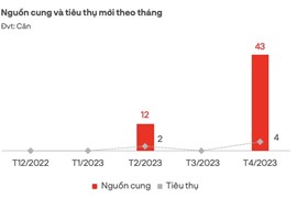 Bất động sản nghỉ dưỡng tại Đà Nẵng và vùng phụ cận không có nguồn cung mở bán