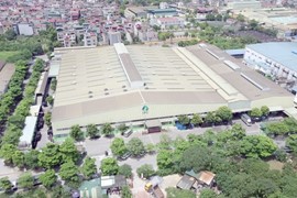 Công ty Cổ phần Nhựa Hà Nội bị xử phạt vi phạm về thuế