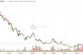 Hưng Thịnh Incons đặt kế hoạch lợi nhuận đi lùi, dự kiến không chia cổ tức trong năm 2023