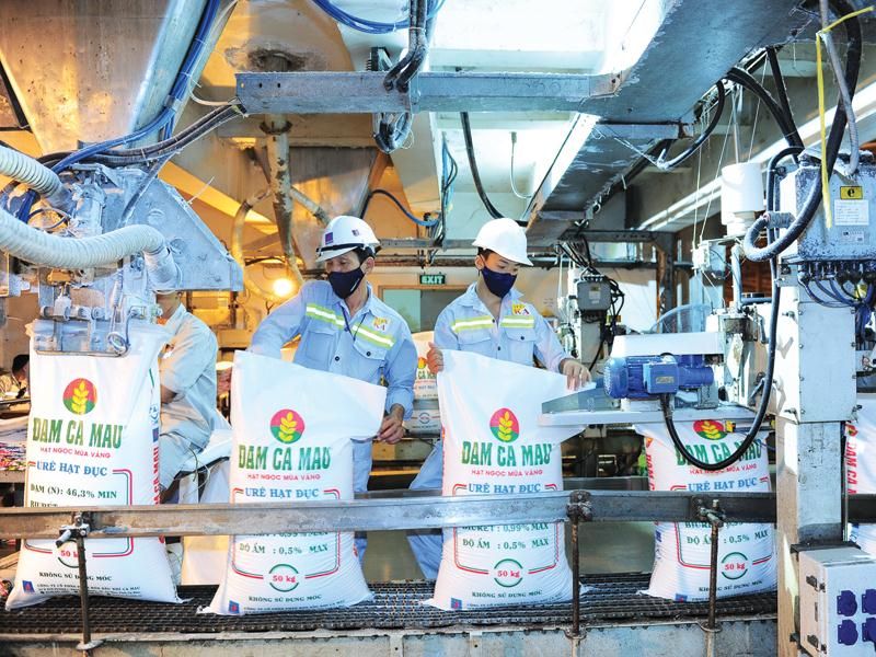 Cổ phiếu DPM và DCM phản ứng thế nào trước đề xuất của EVN?