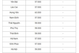 Giá lợn hơi ngày 24/5: Tăng nhẹ ở một vài địa phương