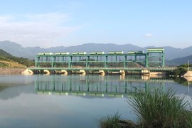 Không công bố thông tin, Công ty TNHH Xuân Thiện Yên Bái bị phạt tiền