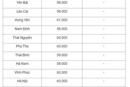Giá lợn hơi ngày 26/5: Đi ngang trên diện rộng