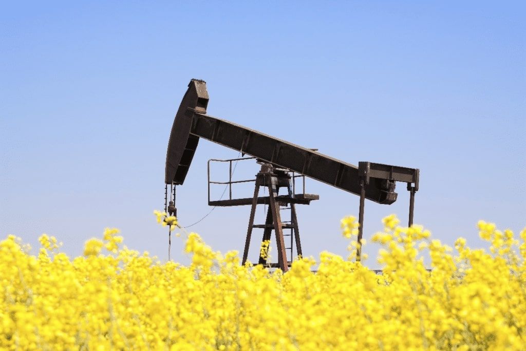 Giá dầu thô 26/5: Quay đầu giảm khi Nga hàm ý OPEC+ có thể không cắt giảm thêm sản lượng khai thác