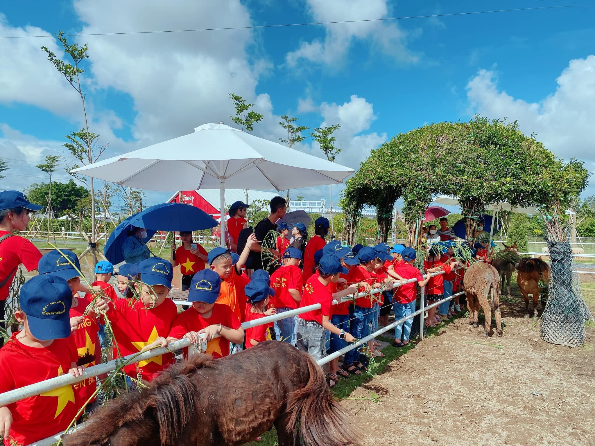 Còn nhiều "con dốc" cản trở du lịch trang trại hút khách tham quan