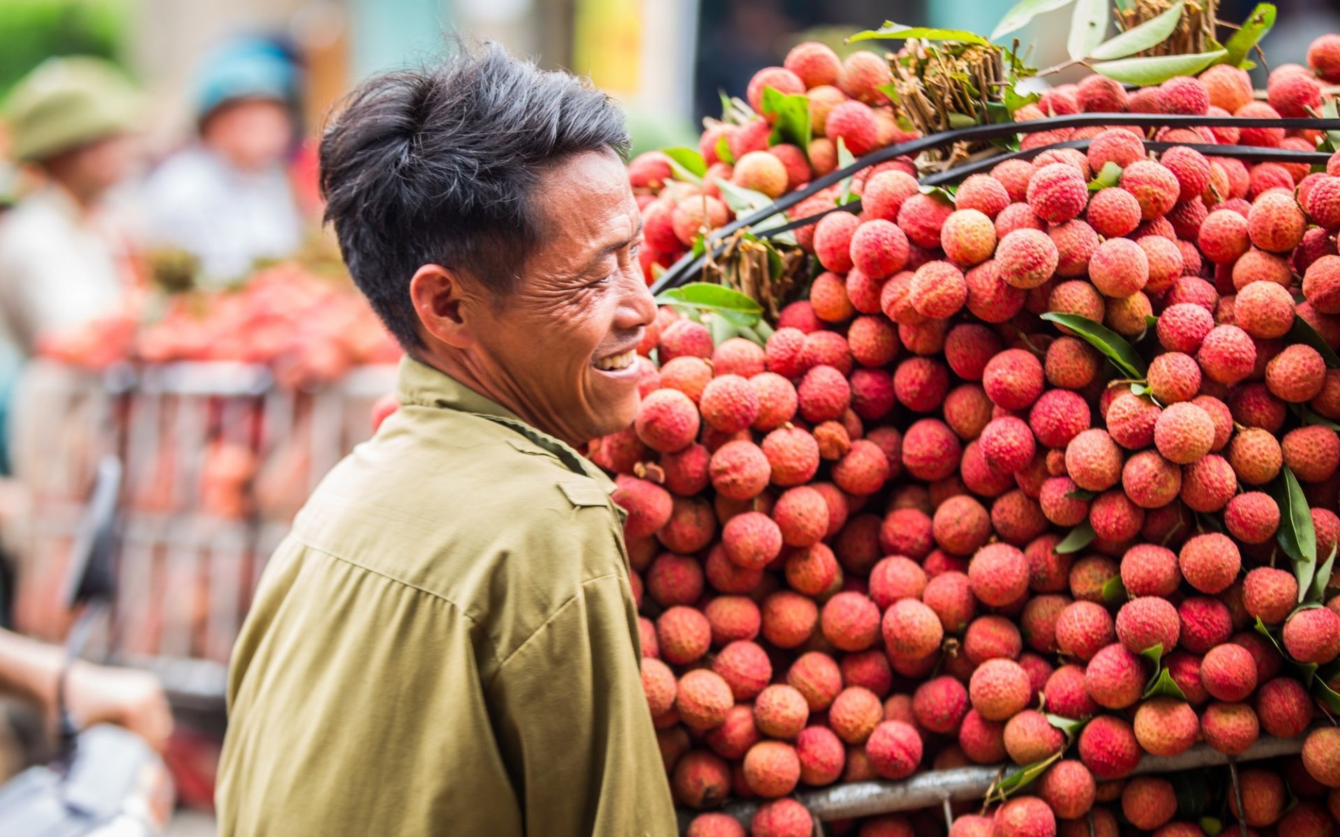 vải thiều Bắc Giang