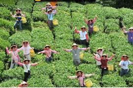 Luật Kinh doanh bất động sản 2014 còn khoảng trống ở loại hình du lịch nông nghiệp