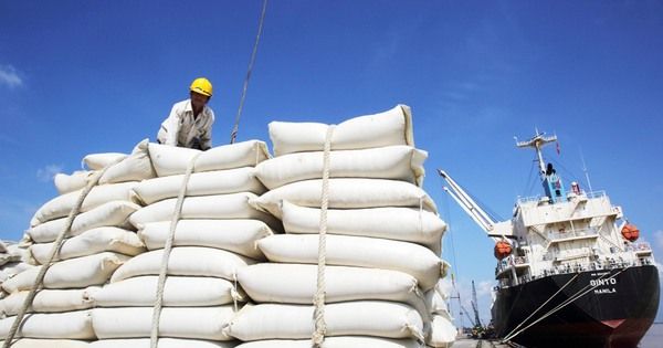 Chiến lược xuất khẩu gạo đến 2030: Tăng chất lượng , giảm khối lượng