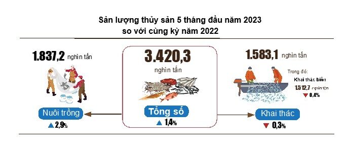 Thang 5/2023 san luong thuy san uoc dat 783,3 nghin tan sản lượng thủy sản
