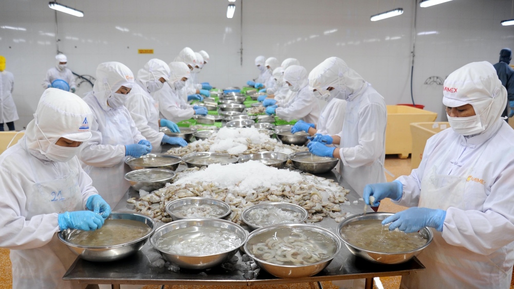 Chế biến tôm xuất khẩu Camimex Group