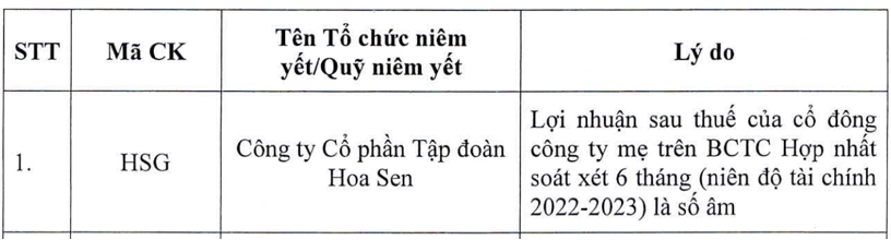 co-phieu-hsg-bi-cat-margin-do-lo-ban-nien_6476fa13e6f83.png