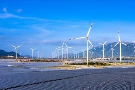 Giá điện tạm cho các dự án điện tái tạo chuyển tiếp: Cửa sinh hay cửa tử?